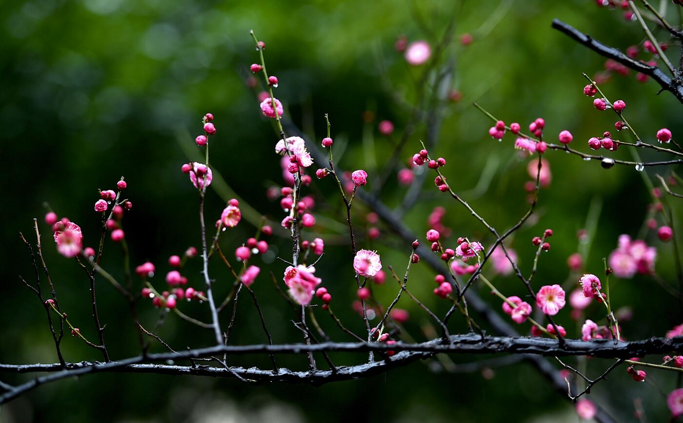 二十四节气休闲区蓝鸢梦想 - Www.slyday.coM