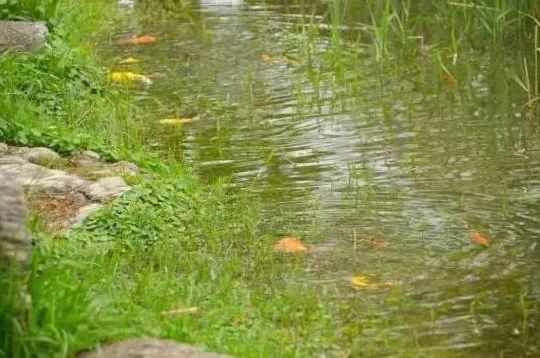 春雨如酥宿遷入畫