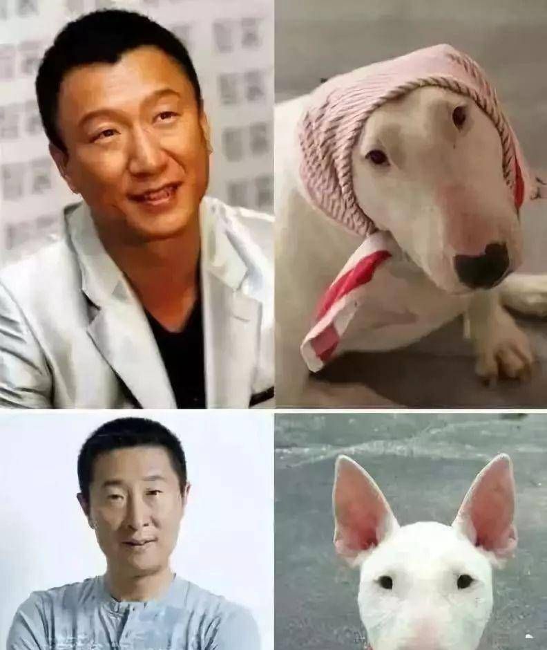 李荣浩发文自嘲:自己拉高了多少丑狗身价,和动物撞脸的明星盘点