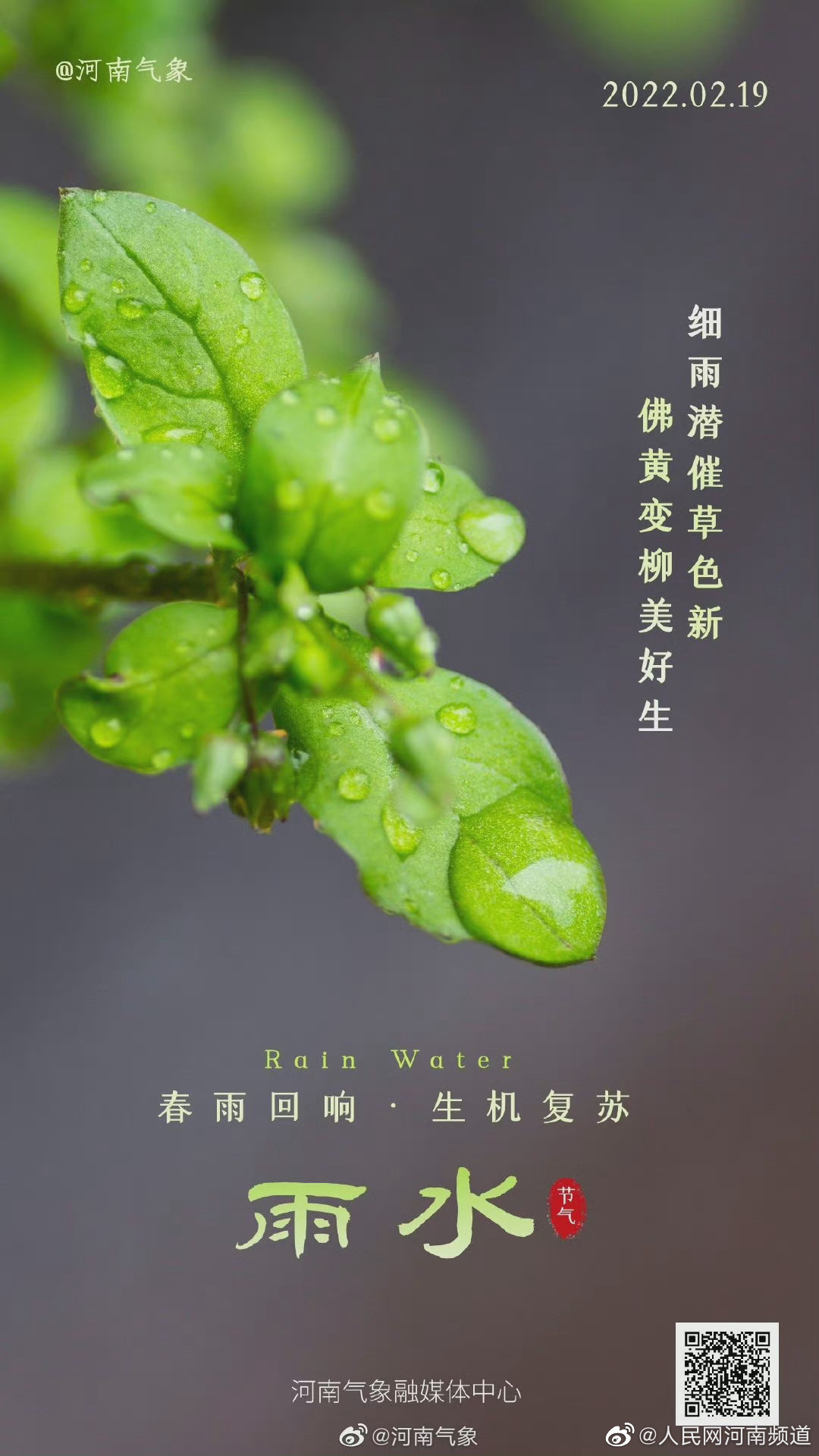 天街小雨润如酥,草色遥看近却无……|天街|草色|小雨_新浪新闻