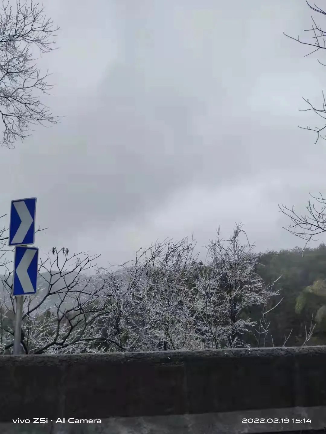 肇庆这里“下雪”了，雾凇、冰挂齐上线！休闲区蓝鸢梦想 - Www.slyday.coM