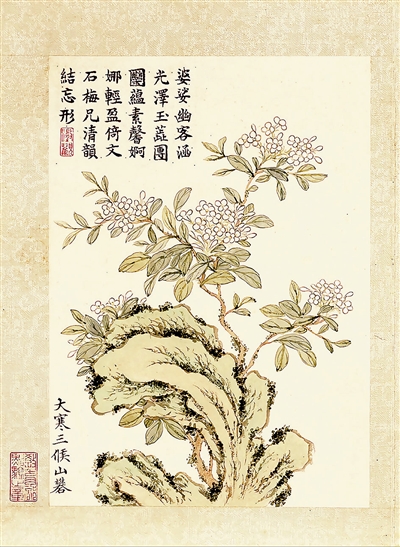 山矾花落春风起_手机新浪网