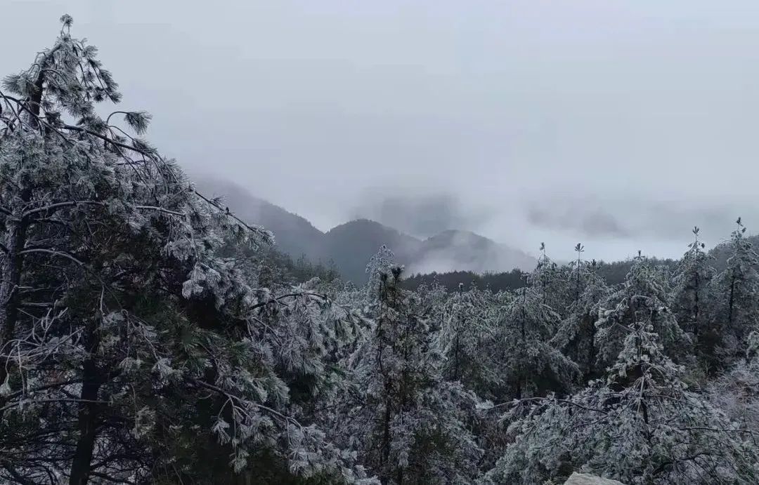 下雪了！福建下雪了！休闲区蓝鸢梦想 - Www.slyday.coM