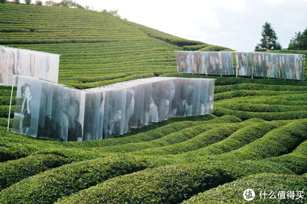 今年春季展的具体时间还没有公布,可以关注公众号「大地艺术节 art