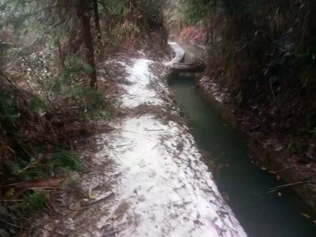 肇庆这里“下雪”了，雾凇、冰挂齐上线！休闲区蓝鸢梦想 - Www.slyday.coM