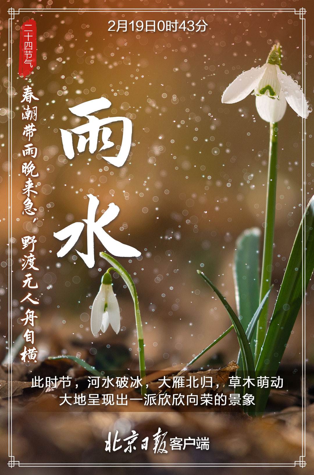 今日雨水!好雨知时节,草木萌发,春天将至|雨水|节气|降水_新浪新闻
