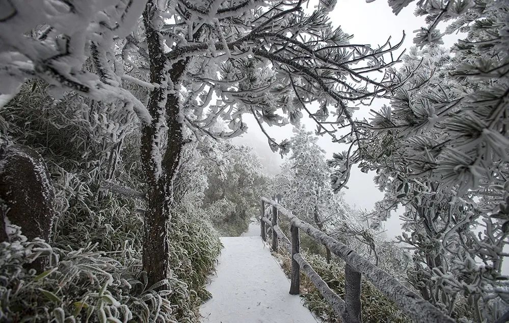 下雪了！福建下雪了！休闲区蓝鸢梦想 - Www.slyday.coM