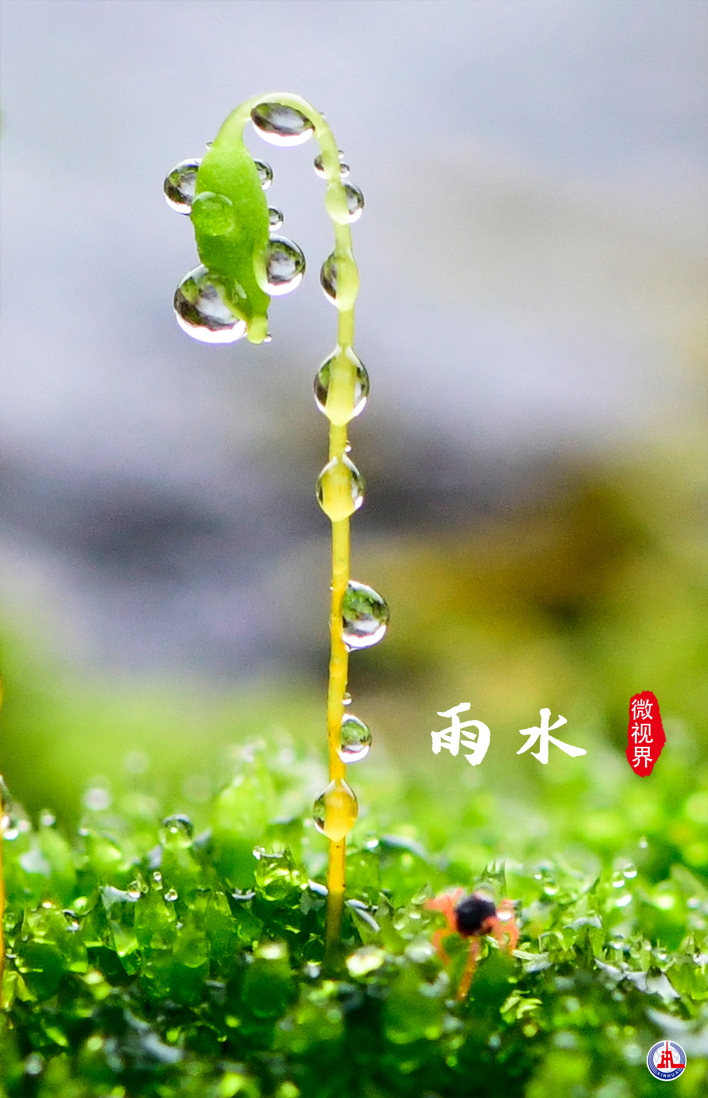 二十四节气滋润万物的雨水是儿童保护节和感恩父母节