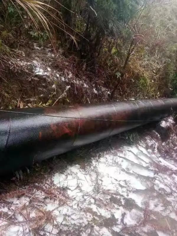 肇庆这里“下雪”了，雾凇、冰挂齐上线！休闲区蓝鸢梦想 - Www.slyday.coM