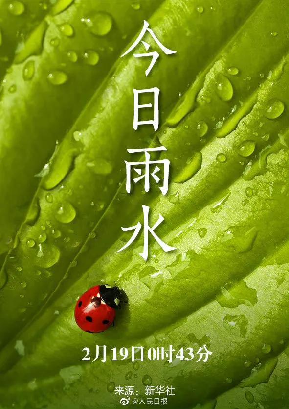 今日雨水超美节气壁纸来了