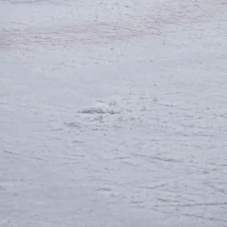 广州溜真冰、滑雪超全攻略来了！离冬奥冠军又近一步！休闲区蓝鸢梦想 - Www.slyday.coM