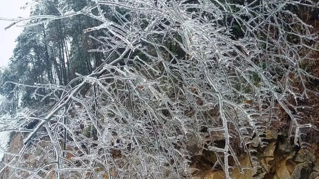 下雪了！福建下雪了！休闲区蓝鸢梦想 - Www.slyday.coM
