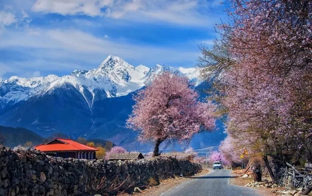 春天苍苍，春水漾漾！推荐你去这20个地方，遇见中国的春光休闲区蓝鸢梦想 - Www.slyday.coM