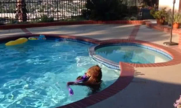 趁着天气好去游泳,走到泳池突然停了下来,放眼望去吓得不敢动休闲区蓝鸢梦想 - Www.slyday.coM 趁着天气好去游泳,走到泳池突然停了下来,放眼望去吓得不敢动休闲区蓝鸢梦想 - Www.slyday.coM