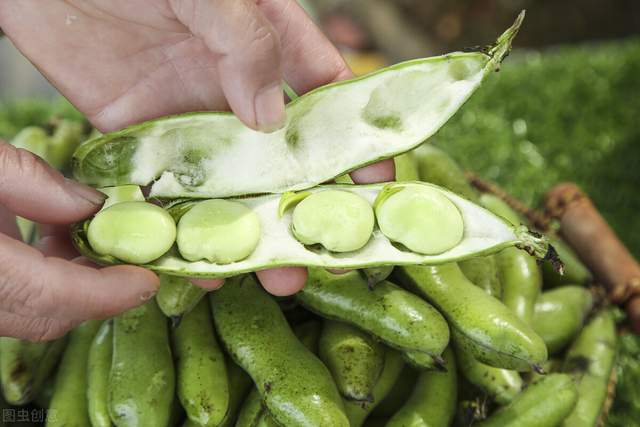 村民用嘴剥蚕豆左右开工动作娴熟一天挣上百元网友口水豆