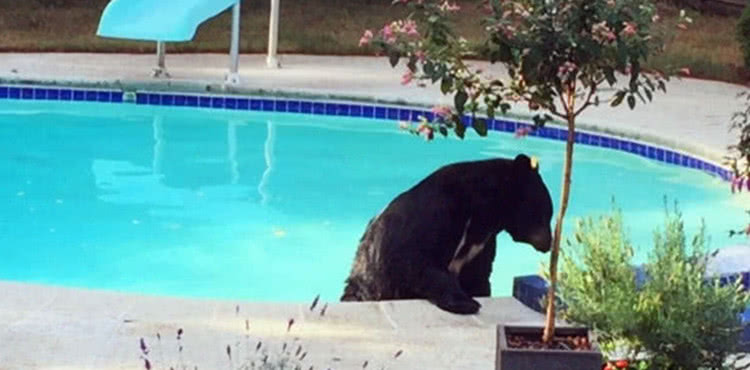 趁着天气好去游泳,走到泳池突然停了下来,放眼望去吓得不敢动休闲区蓝鸢梦想 - Www.slyday.coM 趁着天气好去游泳,走到泳池突然停了下来,放眼望去吓得不敢动休闲区蓝鸢梦想 - Www.slyday.coM