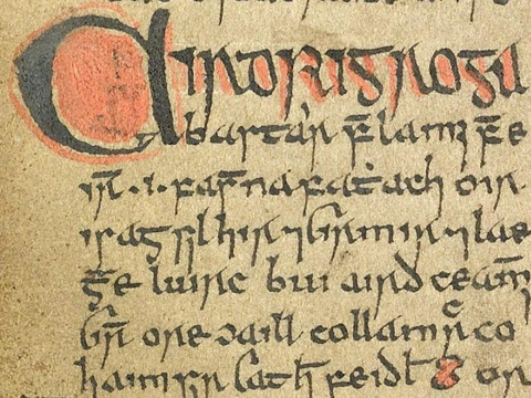 3000多份用爱尔兰语写成的中世纪手稿可能随着时间的推移而遗失