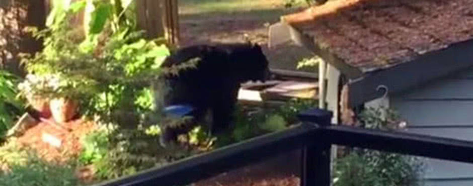 趁着天气好去游泳,走到泳池突然停了下来,放眼望去吓得不敢动休闲区蓝鸢梦想 - Www.slyday.coM 趁着天气好去游泳,走到泳池突然停了下来,放眼望去吓得不敢动休闲区蓝鸢梦想 - Www.slyday.coM