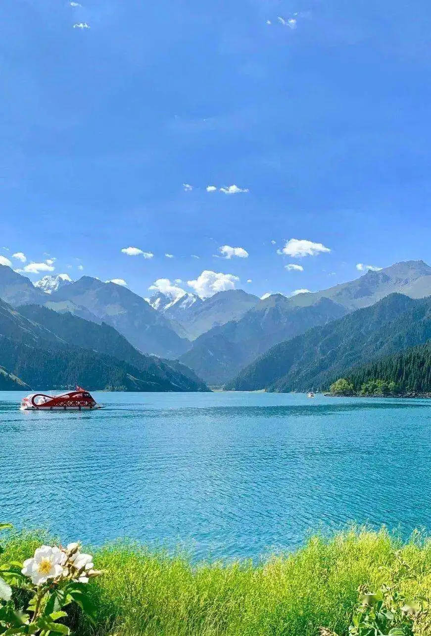 春天苍苍，春水漾漾！推荐你去这20个地方，遇见中国的春光休闲区蓝鸢梦想 - Www.slyday.coM