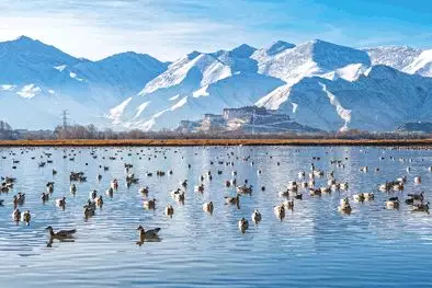 春天苍苍，春水漾漾！推荐你去这20个地方，遇见中国的春光休闲区蓝鸢梦想 - Www.slyday.coM