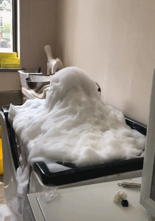 狗狗泡澡全身沾满泡沫吓得不敢动一看狗脸笑炸了