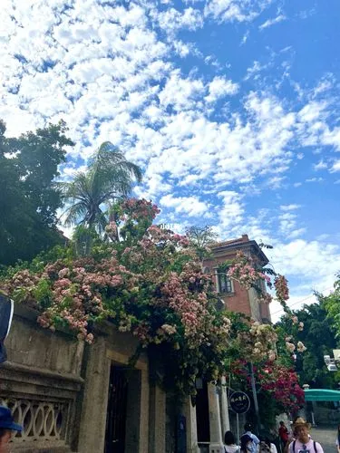 春天苍苍，春水漾漾！推荐你去这20个地方，遇见中国的春光休闲区蓝鸢梦想 - Www.slyday.coM