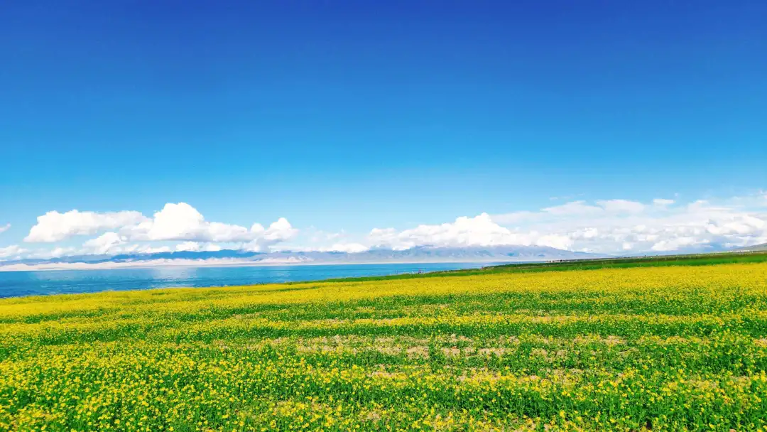 春天苍苍，春水漾漾！推荐你去这20个地方，遇见中国的春光休闲区蓝鸢梦想 - Www.slyday.coM