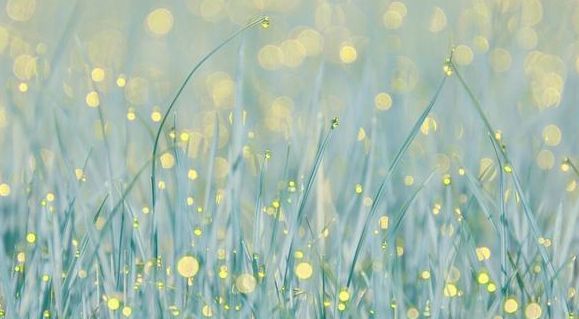 除了初一和十五，正月20也是大日子：记得吃2样顺利一整年休闲区蓝鸢梦想 - Www.slyday.coM