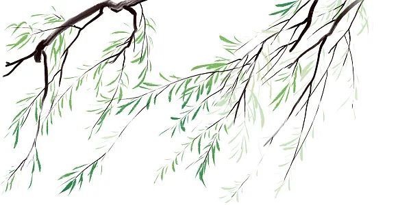 《折柳寄情》"昔我往矣,杨柳依依;今我来思,雨雪霏霏.