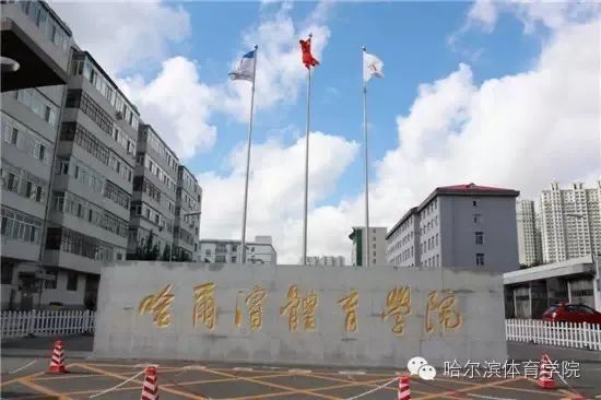 【北京冬奥 冰城荣耀】收获3金2铜！这所冰城高校为冬奥贡献的远不止这么多……休闲区蓝鸢梦想 - Www.slyday.coM