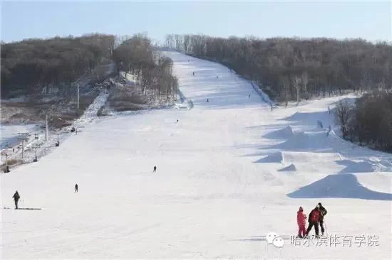 【北京冬奥 冰城荣耀】收获3金2铜！这所冰城高校为冬奥贡献的远不止这么多……休闲区蓝鸢梦想 - Www.slyday.coM