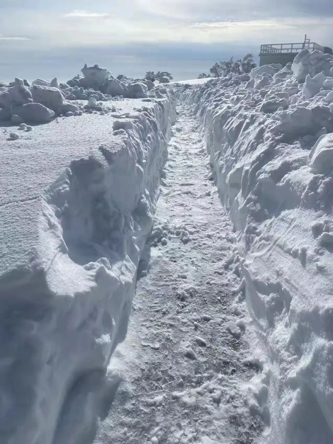 臨安大明山永嘉四海山中雪景泰順大溪源蝴蝶谷.