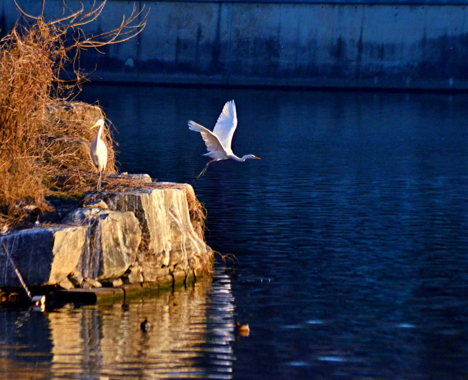 好景山东休闲区蓝鸢梦想 - Www.slyday.coM