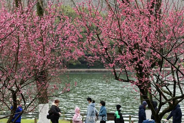 还要下雪！然后气温直冲18℃！未来一周，杭州的天气太刺激了…休闲区蓝鸢梦想 - Www.slyday.coM