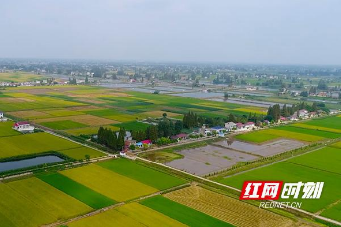 深读守住红线护好良田湖南这样关切每个人的吃饭大计