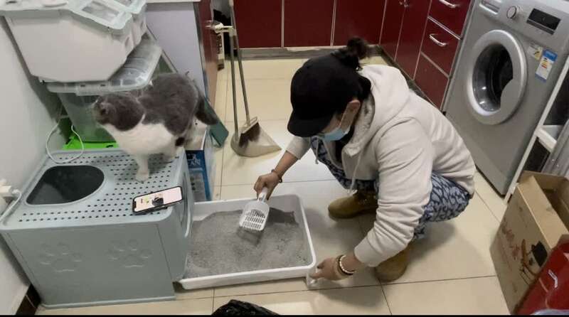 新职业宠物上门喂养兴起真香背后暗藏风险