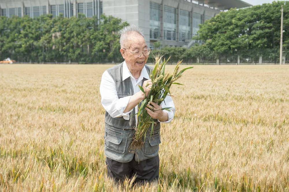 92岁小麦育种家、国家技术发明一等奖获得者李晴祺逝世