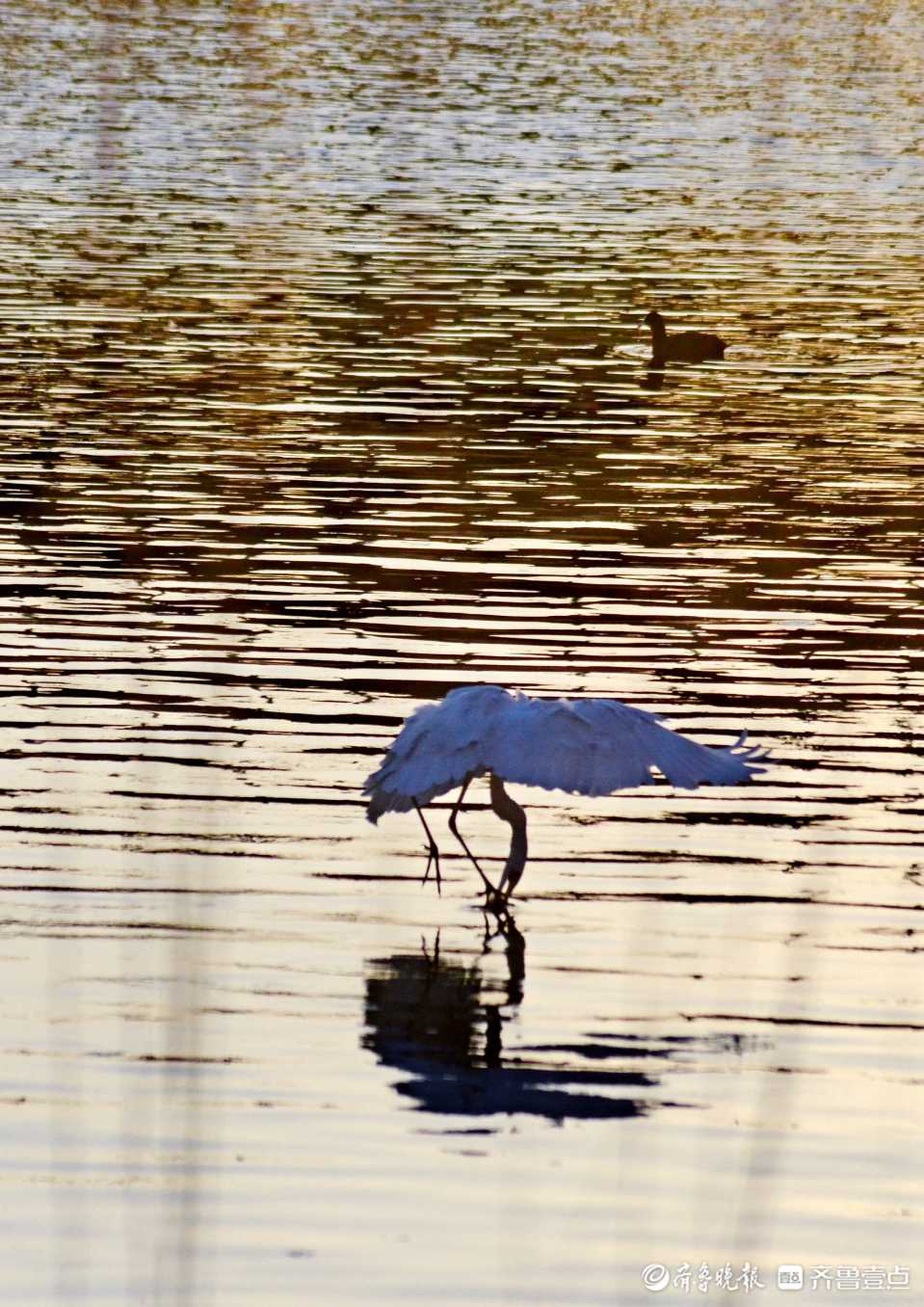 好景山东休闲区蓝鸢梦想 - Www.slyday.coM
