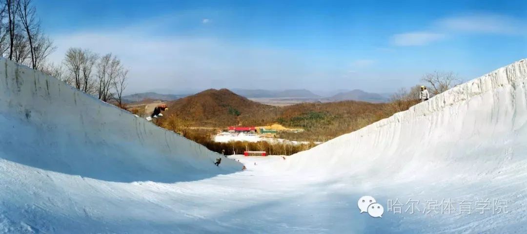 【北京冬奥 冰城荣耀】收获3金2铜！这所冰城高校为冬奥贡献的远不止这么多……休闲区蓝鸢梦想 - Www.slyday.coM