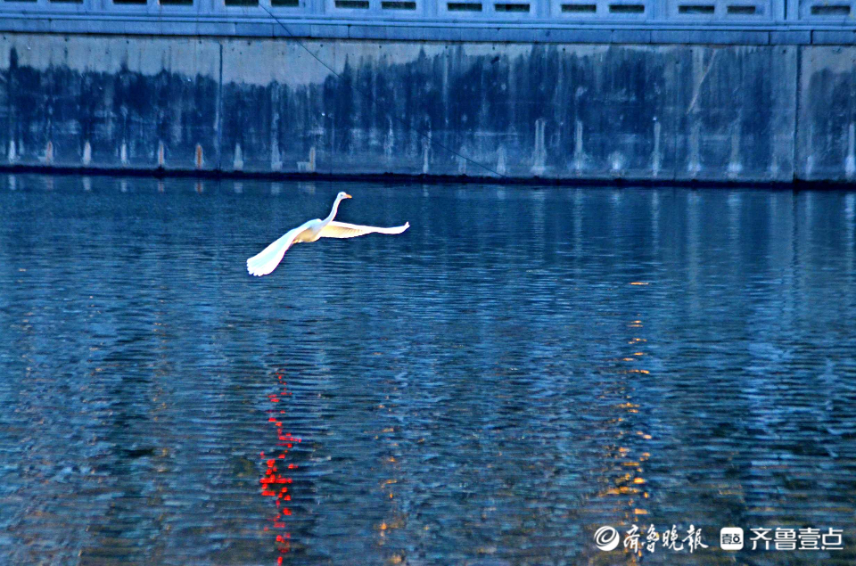 好景山东休闲区蓝鸢梦想 - Www.slyday.coM