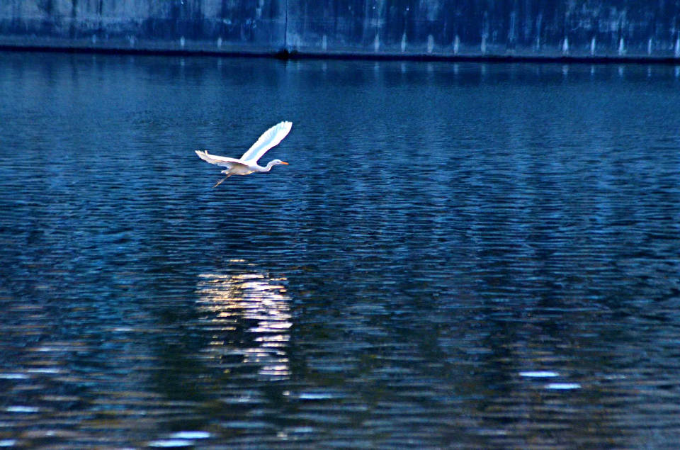 好景山东休闲区蓝鸢梦想 - Www.slyday.coM