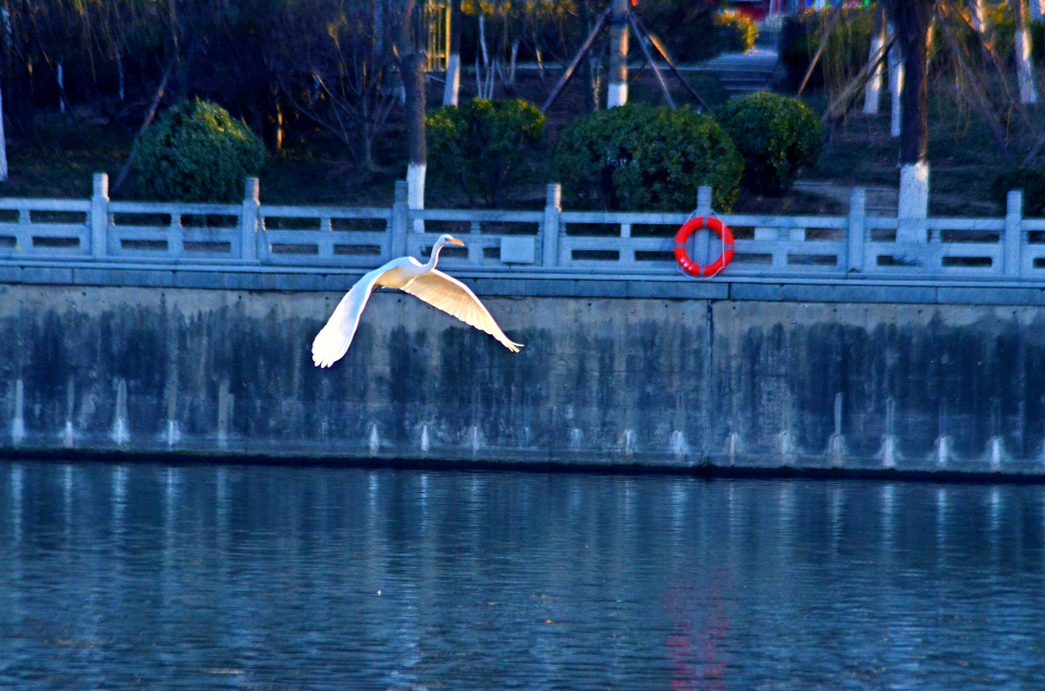 好景山东休闲区蓝鸢梦想 - Www.slyday.coM