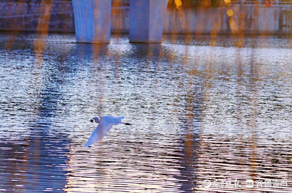 好景山东休闲区蓝鸢梦想 - Www.slyday.coM