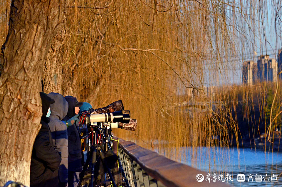 好景山东休闲区蓝鸢梦想 - Www.slyday.coM