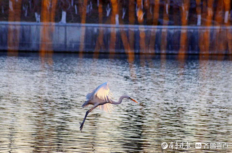 好景山东休闲区蓝鸢梦想 - Www.slyday.coM