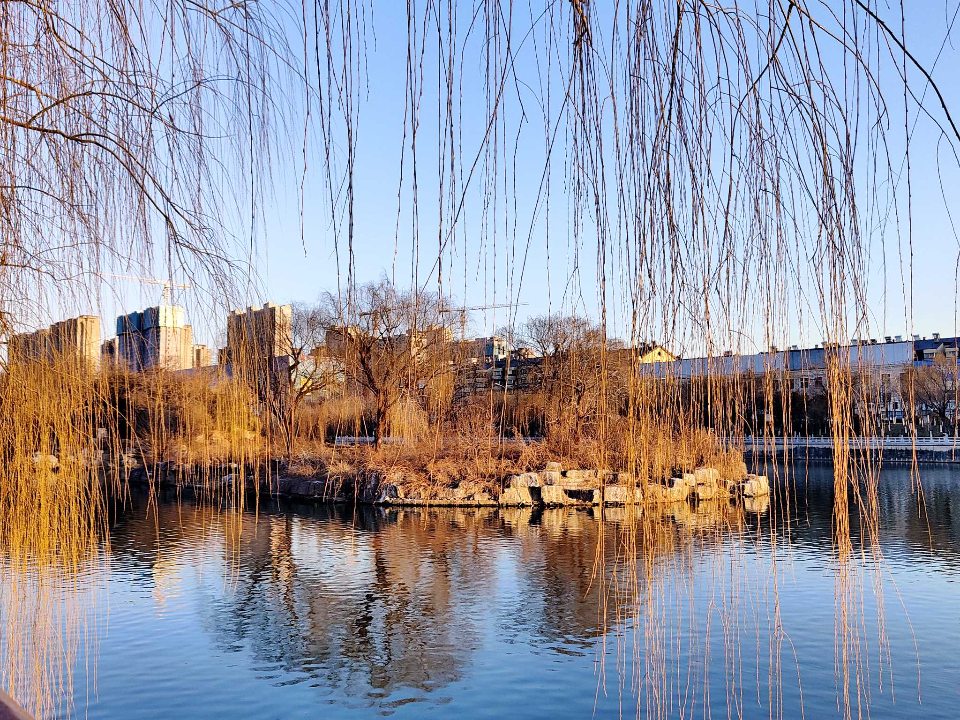 好景山东休闲区蓝鸢梦想 - Www.slyday.coM