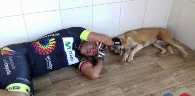 狗狗在原地等待主人3天,却不知已被抛弃,幸遇小伙后开心搭便车休闲区蓝鸢梦想 - Www.slyday.coM 狗狗在原地等待主人3天,却不知已被抛弃,幸遇小伙后开心搭便车休闲区蓝鸢梦想 - Www.slyday.coM