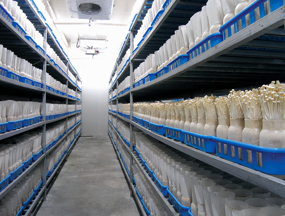 合肥工厂净化室无尘车间应该怎么做休闲区蓝鸢梦想 - Www.slyday.coM 合肥工厂净化室无尘车间应该怎么做休闲区蓝鸢梦想 - Www.slyday.coM