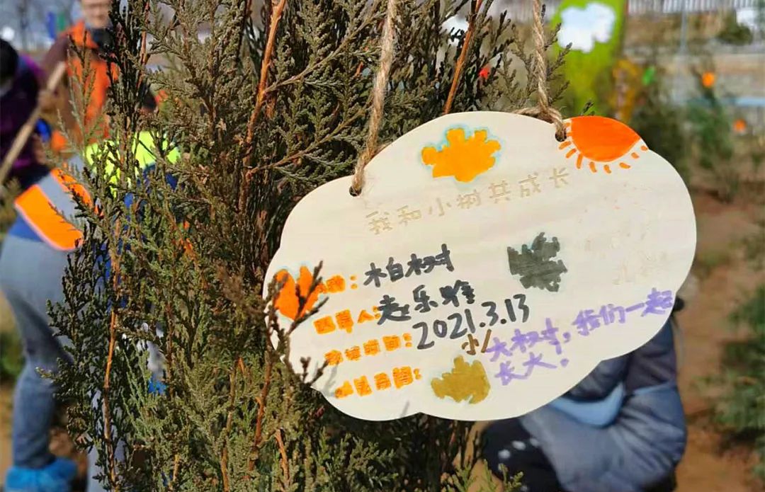 在制作树牌的时候,每个孩子都在专注创意和,涂鸦,对于自己的成长愿望