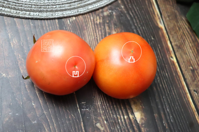 西红柿也分公母挑5片叶还是6片叶差别不小学会不再买错